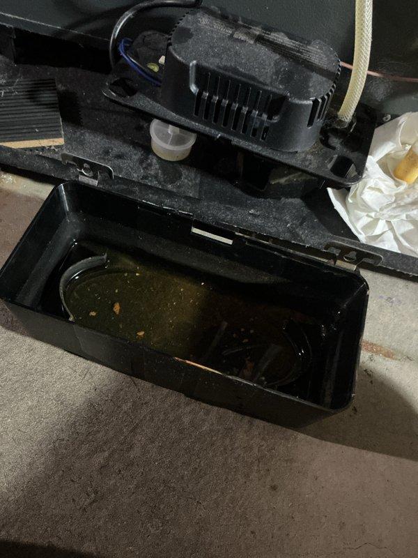 Completed annual cooling maintenance on 2012 EnergiAir system. Performed comprehensive AC tune-up including system inspection, refrigerant level verification, and component testing. Documented condensate pump assembly showing significant sediment accumulation in drain pan requiring attention, and photographed air handler unit installation with multiple PVC condensate drain lines for service records.