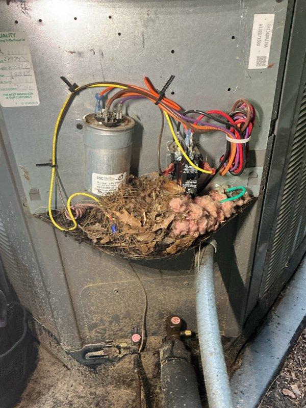 Completed annual cooling maintenance on 4-year-old Rheem AC system. Discovered significant wildlife nesting material (grass, twigs, leaves, and debris) accumulated inside electrical compartment around capacitor, contactors, and wiring. Removed all nesting material to prevent potential fire hazard, electrical shorts, and airflow restrictions. Inspected all electrical connections, capacitor, contactors, and wiring for damage from nest intrusion—all components found to be functional. Checked outdoor disconnect box and fuse holders, which showed age-related weathering but remained operational. System tested and operating properly following debris removal and standard tune-up procedures.