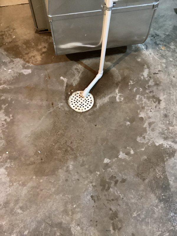 # Floor Drain Service - Basement Utility Area

Responded to service call for floor drain maintenance in basement utility area. Upon arrival, observed white PVC floor drain with perforated cover showing signs of moisture accumulation and water staining on surrounding concrete floor. The drain is located near HVAC equipment with vertical PVC piping connection.

Inspected floor drain assembly and surrounding area, noting significant water discoloration patterns on concrete surface indicating previous drainage activity or potential backup issues. The circular perforated drain cover was accessible and connected to white PVC drainage piping entering at an angle from the side.

Documented existing conditions with photographs showing the drain location, piping configuration, and floor staining patterns for service records. The concrete floor exhibited mottled appearance with darker stains and lighter patches throughout, suggesting historical moisture exposure consistent with drainage system us