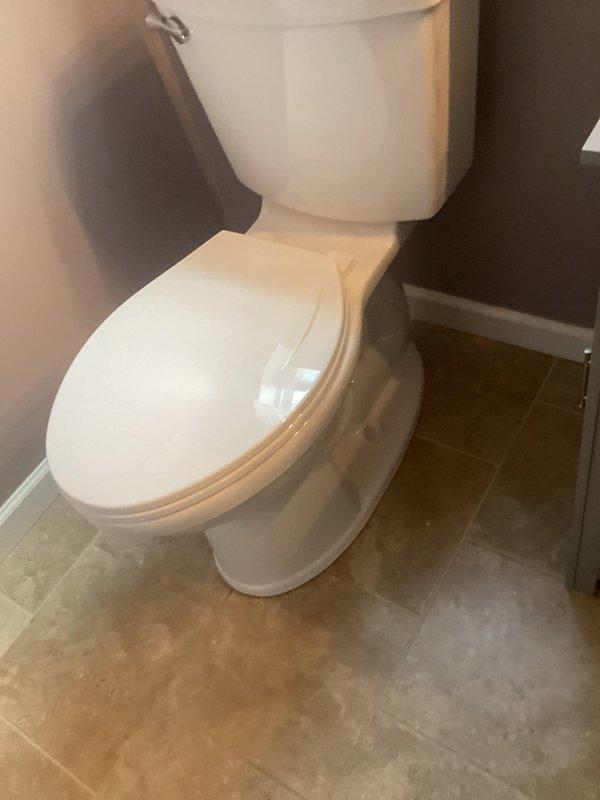 Responded to toilet replacement consultation request. Evaluated existing two-piece toilet with round bowl in bathroom with recently cleaned carpets. Discussed replacement options with client, including possibility of client-provided fixture versus contractor-supplied alternatives. Documented current toilet condition and bathroom configuration through photographs. Wore protective booties throughout service visit to protect newly cleaned carpeting per client request. Provided 30-minute advance notice prior to arrival as requested.