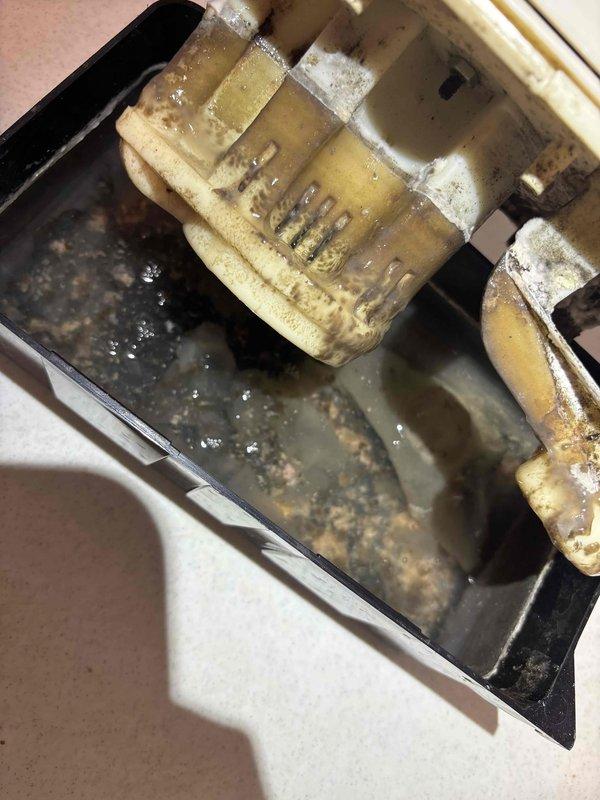 Completed annual cooling system tune-up and maintenance inspection. Upon request, inspected and evaluated condensate pump assembly, which showed significant sediment accumulation and mineral deposits in the drain pan with standing water present. Confirmed pump operation and documented current condition with photos; unit is functional but will require cleaning and maintenance attention in the near future to prevent potential drainage issues.