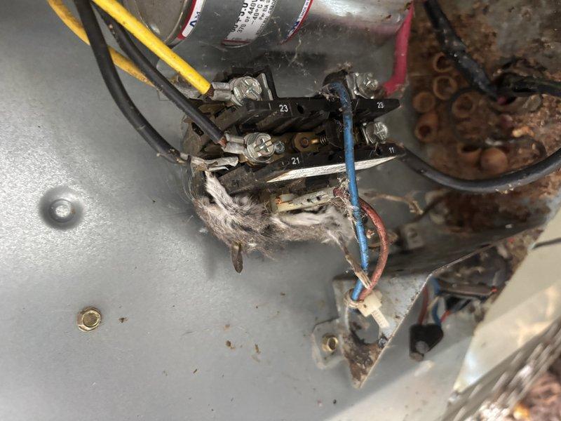 Completed annual cooling maintenance on 15-year-old residential air conditioning system. During inspection, discovered severe electrical damage at contactor terminal block with evidence of significant arcing, burnt wire insulation, and melted plastic debris indicating previous overheating event. Terminal connections showed charring and deterioration requiring immediate attention for safe operation. Additionally noted corrosion on equipment housing and general wear consistent with system age. Documented all findings with photographs for customer review and recommended necessary electrical repairs to prevent potential system failure and safety hazards.