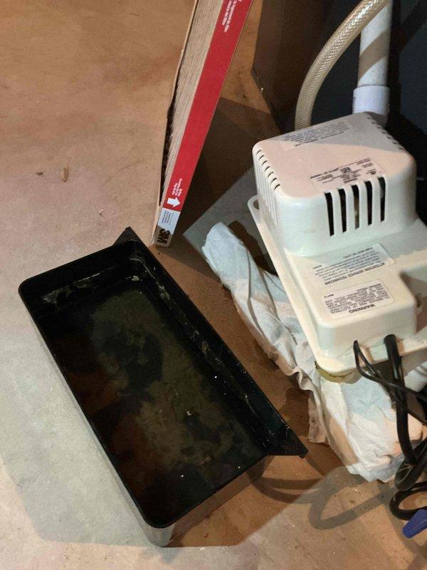Completed annual cooling maintenance on 2018 Goodman unit. Inspected and serviced condensate pump system, verified proper drainage operation, and confirmed all electrical connections secure. All components operating within normal parameters.