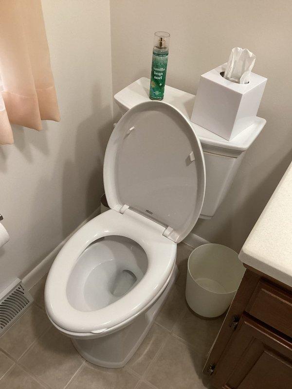 Responded to gas leak call in basement of fifty-year-old residence following recent water intrusion and flooding. Inspected HVAC system, air handler unit, and associated ductwork in mechanical room; verified all gas connections and electrical components for safety. No active gas leak detected at time of inspection. Additionally provided quote for bidet toilet seat installation per customer request and documented existing bathroom fixtures for future installation work.