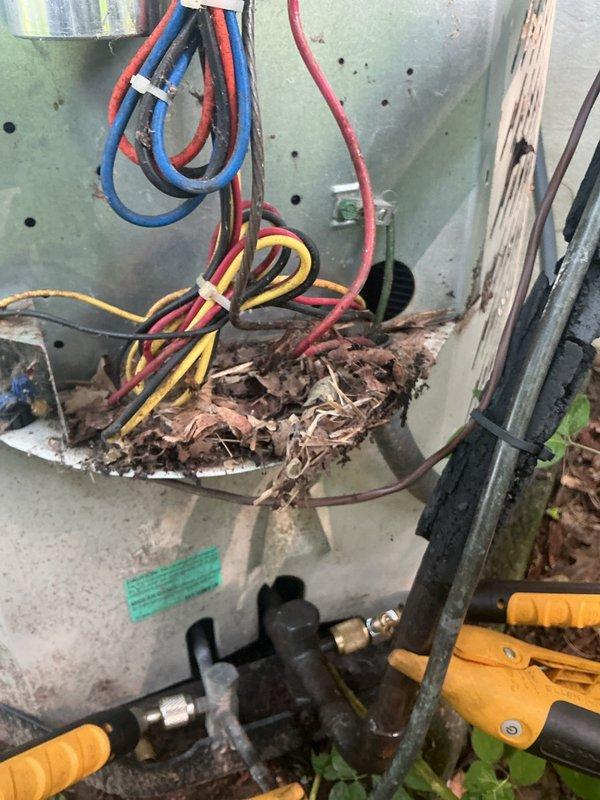 Completed annual cooling maintenance on 11-year-old AC unit. Removed significant accumulation of leaves, twigs, and organic debris from interior cabinet that had collected on components and could have restricted airflow or caused operational issues. Inspected electrical connections, wiring bundles, and zip tie securements—all found in acceptable condition. Checked refrigerant lines, service valves, and brass fittings for proper operation. Noted weathering and rust staining on exterior base pan consistent with outdoor installation and age of equipment, but no structural concerns affecting system performance. Unit operational and ready for cooling season.