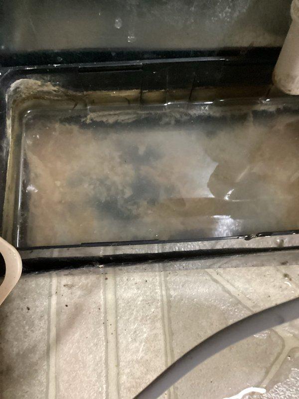 Completed annual cooling maintenance on 2015 air conditioning system. Inspected evaporator coil assembly and discovered significant standing water and debris accumulation in condensate drain pan with visible staining and biological growth. Documented dirty drain pan condition with heavy sediment buildup indicating potential drainage restriction. Cleaned drain pan, cleared condensate line obstruction, verified proper drainage flow, and treated drain system with algaecide tablets to prevent future blockages. Performed standard tune-up procedures including filter inspection, electrical connections check, refrigerant pressure verification, and overall system operational testing. Unit running within normal parameters upon completion.