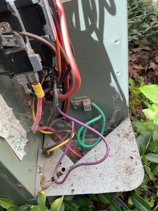 Responded to no cooling complaint on 20+ year old Rheem outdoor condensing unit. Upon arrival, found unit running but not cooling to set temperature. Performed electrical diagnostics using clamp meter at outdoor unit's electrical connection points. Tested voltage and amperage readings at compressor and condenser fan motor circuits. Inspected wire connections including red, orange, green, purple, and yellow conductors entering unit through electrical enclosure. Unit showed significant age-related weathering, dirt accumulation, and vegetation overgrowth around base affecting airflow. Documented electrical measurements and overall equipment condition with photos. Unit's advanced age (20+ years) indicates likely refrigerant loss, compressor degradation, or failed capacitor requiring further diagnosis and repair recommendations.