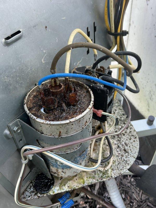 # NC-No Cool Service Call - Carrier AC Unit

Responded to no cooling complaint on 4-year-old Carrier air conditioning system. Upon arrival, found unit running but failing to produce cold air. Inspection revealed heavily corroded capacitor with significant rust and deterioration on top surface and mounting hardware. Multiple electrical connections showed signs of weathering and outdoor exposure. Interior components displayed extensive corrosion on metal brackets, pipes, and fittings, with debris accumulation at base of unit. Corroded capacitor identified as primary failure point preventing proper compressor operation. Replaced failed capacitor with new component, cleaned electrical connections, and verified proper wire terminations. Cycled system through complete cooling cycle to confirm compressor engagement and proper operation. Unit now cooling effectively with all components functioning within normal parameters.