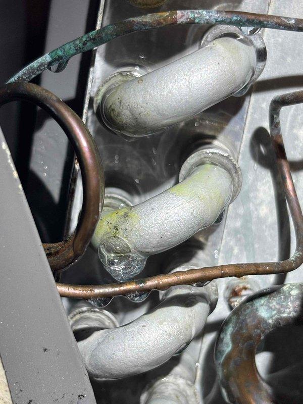 Completed annual cooling maintenance on 10-year-old Rheem system. Upon inspection, discovered heavy frost accumulation on refrigerant lines indicating potential low refrigerant charge or restricted airflow. Observed significant mineral deposits and biological buildup on condensate drain pan and fittings, with standing water present. Documented system conditions with photos for service records. Recommended immediate follow-up to address refrigerant system issues and drain pan cleaning to prevent future drainage problems and maintain system efficiency.