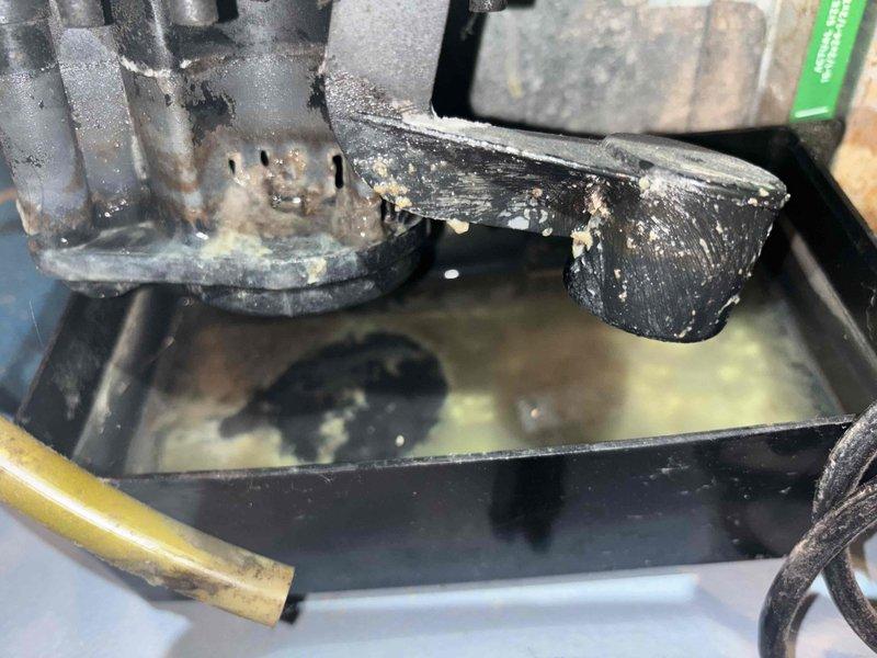 Completed annual cooling maintenance on 10-year-old Rheem system. Upon inspection, discovered heavy frost accumulation on refrigerant lines indicating potential low refrigerant charge or restricted airflow. Observed significant mineral deposits and biological buildup on condensate drain pan and fittings, with standing water present. Documented system conditions with photos for service records. Recommended immediate follow-up to address refrigerant system issues and drain pan cleaning to prevent future drainage problems and maintain system efficiency.