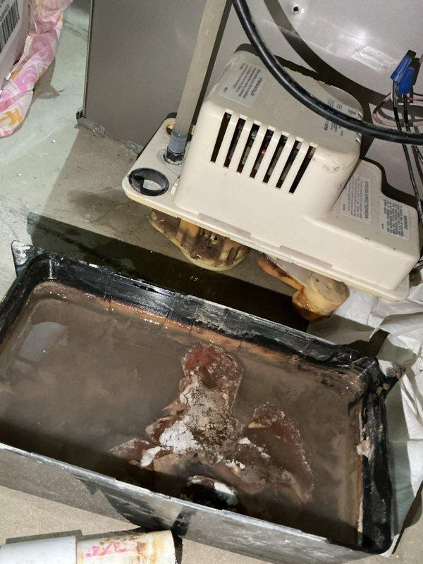 Completed annual cooling maintenance on 5-year-old air conditioning system. Performed comprehensive system inspection including electrical diagnostics using clamp meter, recording amperage readings at compressor and verifying proper electrical operation. Inspected condensate drain system and documented significant corrosion and mineral buildup in drain pan with standing water present, indicating drainage concerns and long-term moisture exposure. Noted brown discoloration on condensate pump assembly and surrounding components. Verified system operational parameters and confirmed updated contact information for service records.
