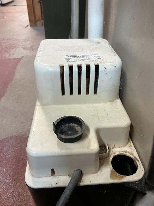 Completed annual cooling maintenance on 2018 Lennox 21 SEER system. Performed comprehensive tune-up including inspection of condensate pump operation, verified proper drainage function, and documented equipment condition with photos. All components operating within normal parameters at time of service.