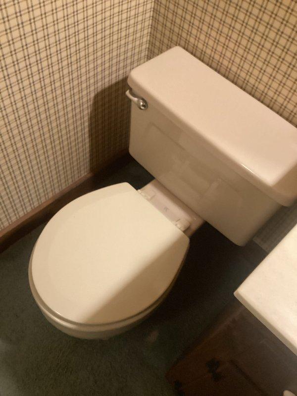Replaced corroded showerhead, shower arm, and flange in bathroom shower stall. All new fixtures installed with chrome finish to match existing faucet trim, ensuring proper water flow and eliminating corrosion issues.
