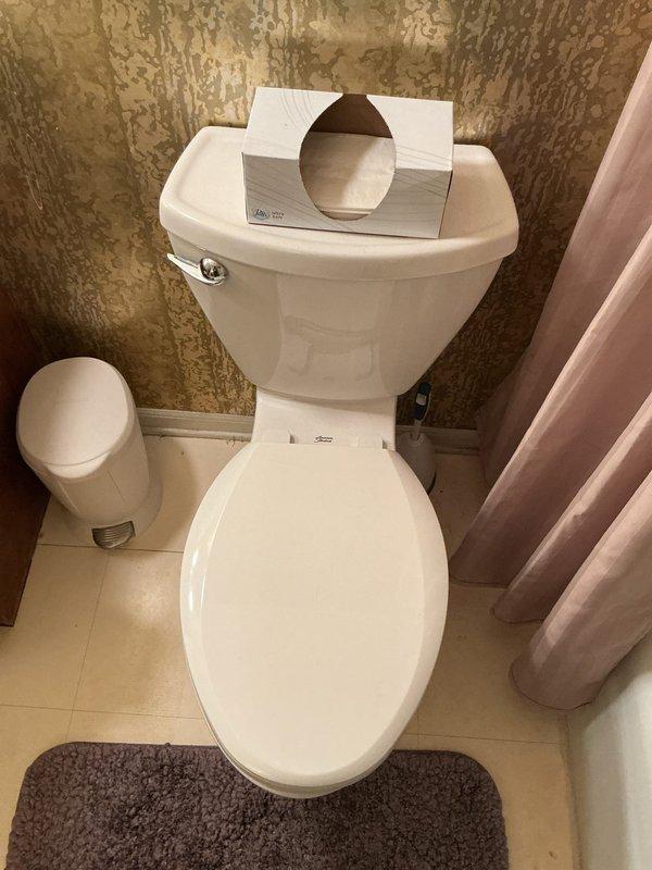 Conducted on-site assessment for tub-shower replacement project in residential bathroom. Documented existing bathroom configuration, including current fixtures, wall finishes with textured decorative treatment, beige tile flooring, and shower curtain setup to provide accurate project estimate for new tub-shower installation.