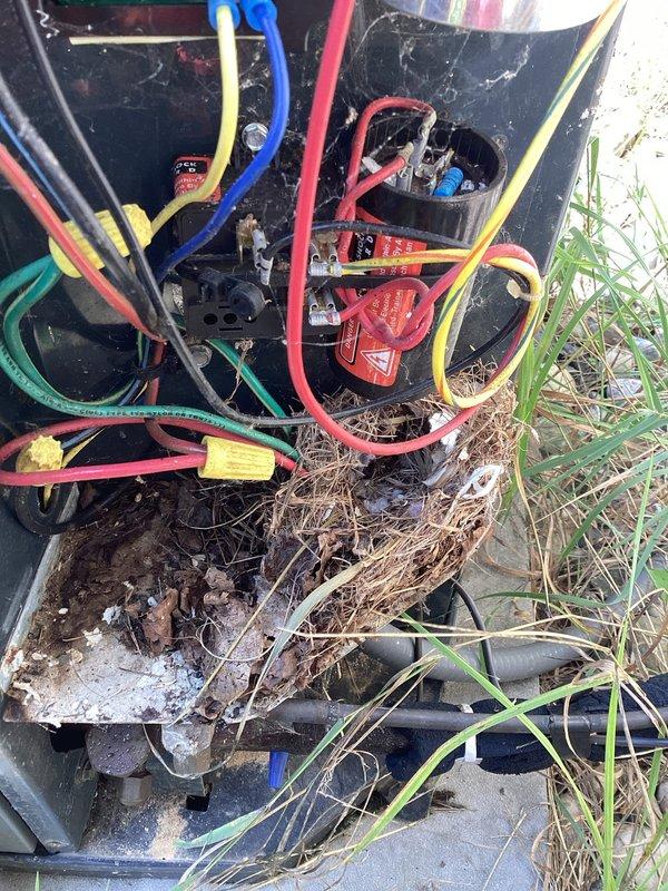 Completed annual cooling maintenance on 19-year-old Trane system. Upon inspection, discovered outdoor unit electrical compartment heavily contaminated with organic debris, dried grass, nesting material, and dirt accumulation throughout wiring connections and components. Thoroughly cleaned electrical panel, removed all debris from compartment, inspected all wire connections and terminals for damage or corrosion. Verified system operation, checked refrigerant pressures, tested capacitor function, and confirmed unit cycling properly. Documented equipment condition with photos. Recommend monitoring electrical compartment for future pest intrusion and potential seal improvements to prevent recurrence.