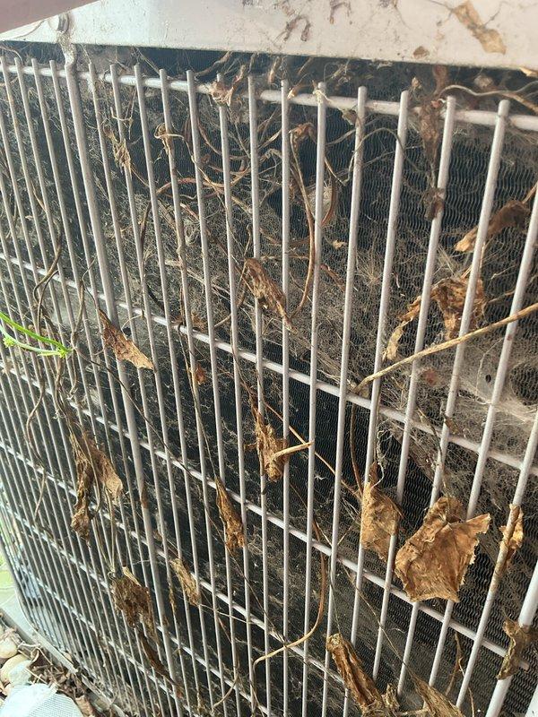 Completed annual cooling maintenance on 12-year-old Carrier condenser unit. Unit exterior showed significant debris accumulation with dried leaves, twigs, and organic matter lodged in protective grille and surrounding condenser fins. Removed all debris from grille guards and coil surfaces. Cleaned condenser coils and exterior cabinet which displayed weathering, discoloration, and environmental staining from outdoor exposure. Performed standard tune-up procedures and verified system operational status.