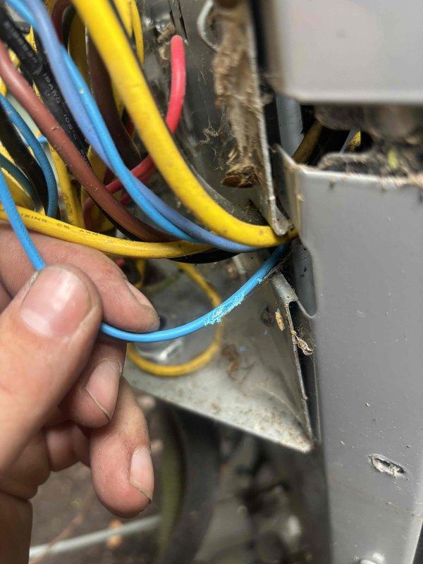Completed annual cooling maintenance on Carrier system. Upon arrival, rang doorbell and knocked loudly as requested. Performed comprehensive inspection of air conditioning unit including electrical connections, refrigerant levels, and mechanical components. Noted accumulated dust and debris on burner assembly and wiring connections during inspection. Cleaned and serviced all accessible components to ensure optimal system performance for the cooling season.