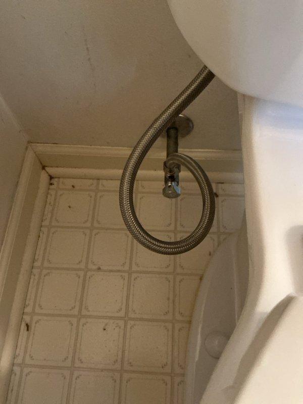 Responded to service call for toilet replacement evaluation. Upon arrival, inspected existing toilet installation and plumbing connections, including flexible braided supply line and wall-mounted shutoff valve. Documented current condition of fixtures and surrounding tile work with photographs for customer records and replacement assessment.