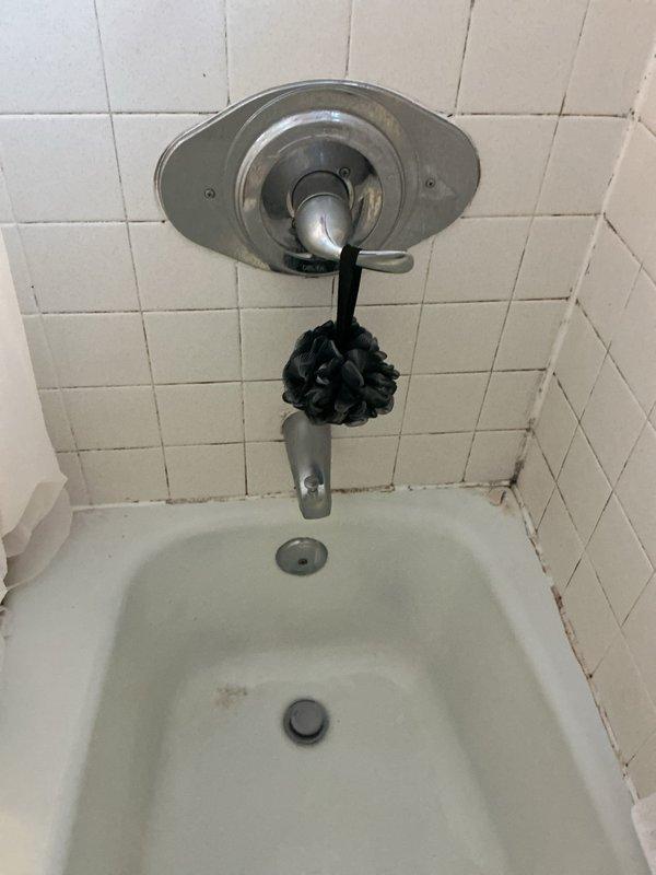 Responded to plumbing issues in two bathrooms following whole home re-pipe. Addressed dripping shower faucet caused by improperly sealed gasket, inspected and corrected repeatedly disconnecting sink drain that was causing flooding, and diagnosed toilet bowl leak requiring water supply manipulation. Inspected toilet tank flush valve assembly and dual flush mechanism, examined shower fixture and tub drain assembly, and documented all plumbing components with photos for service records.