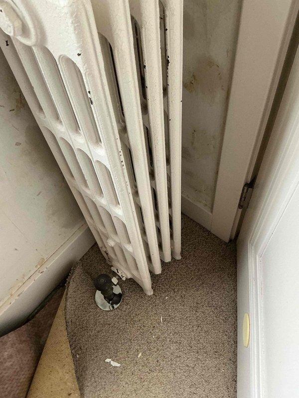 Responded to service call regarding three upstairs vents not connected to the central air conditioning system. Upon inspection, documented the attic space showing exposed HVAC ductwork and structural framing where the disconnected vent runs were located. Also assessed an aging white cast iron radiator in the bathroom that customer requested removal, photographing the unit and surrounding area to document existing conditions including worn carpeting and floor register placement for future work planning.