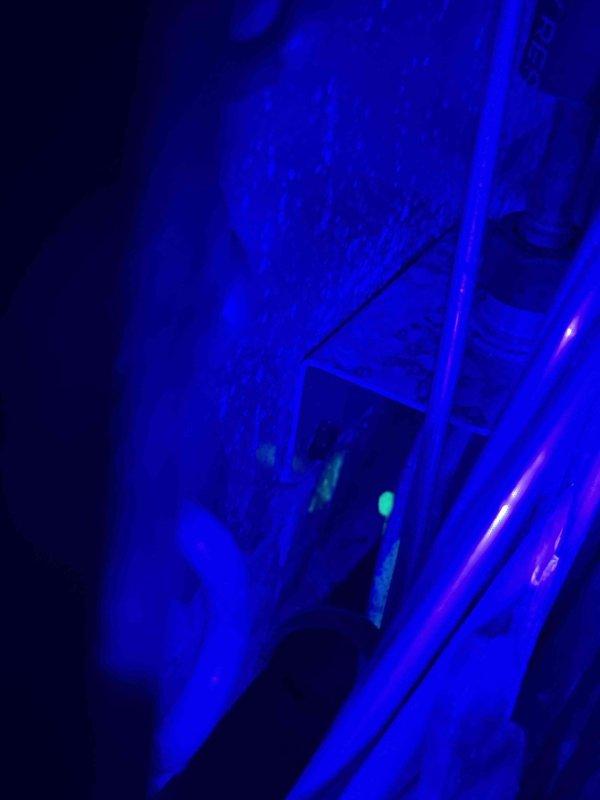 Responded to water leak issue with EnergiAir unit in basement. Found approximately 1/2 inch of water accumulated in drain pan under unit and active water leakage between furnace and A-coil. Confirmed moisture alarm was non-functional. Documented conditions with photos for warranty claim processing under active 1-year manufacturer warranty.