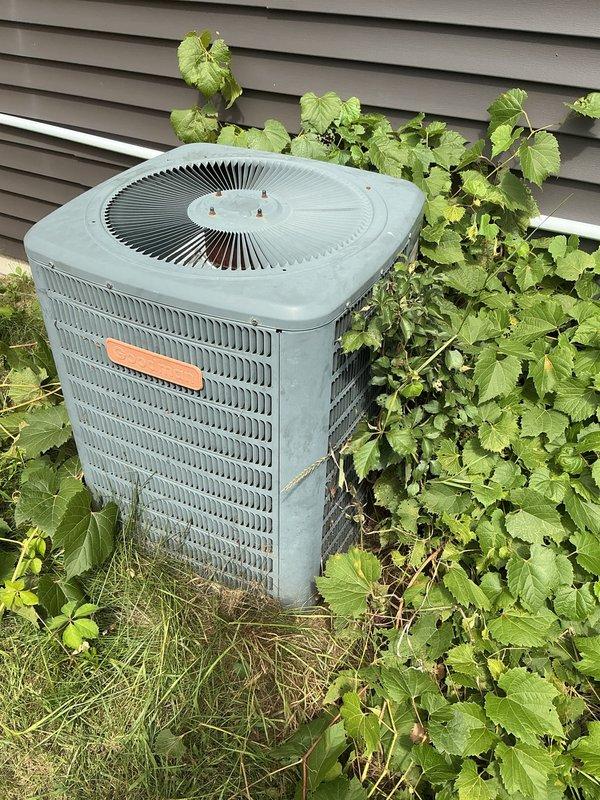 Responded to no-cooling call on Goodman central air conditioning system (Model CAPF1824B6BA) that became non-operational following recent storm activity. Upon arrival, found outdoor condenser unit significantly obstructed by overgrown vegetation, including climbing vines covering top grille and side panels. Cleared vegetation from unit perimeter and top fan grille to restore proper airflow and access for diagnostic evaluation. Inspected unit for visible storm damage including electrical connections, contactor, and capacitor. System age undetermined at time of service. Documented equipment condition and vegetation encroachment with photographs for service records.