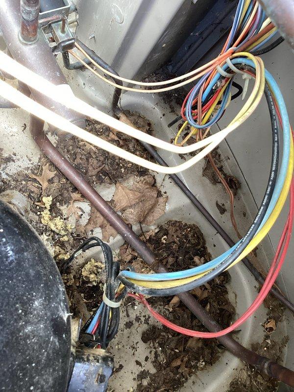 # AC No Cooling - Contactor Replacement

Responded to no cooling complaint on Bryant system installed 5-6 years ago. Upon arrival, confirmed condenser fan motor was operational but compressor was not running. Performed system diagnostics and identified failed contactor as root cause preventing compressor engagement. Contactor showed severe deterioration with internal components completely degraded and outer casing damaged beyond serviceability.

Removed failed contactor and cleaned accumulated debris from condenser unit interior, including dirt, sediment, and moisture buildup on electrical connections and copper refrigerant lines. Installed new contactor with proper wire terminations. Verified all electrical connections were secure and tested system operation. Compressor engaged properly and unit began cooling immediately. Confirmed adequate airflow from condenser fan and proper amp draw on compressor. System restored to normal operation with whole-house cooling functionality confirmed