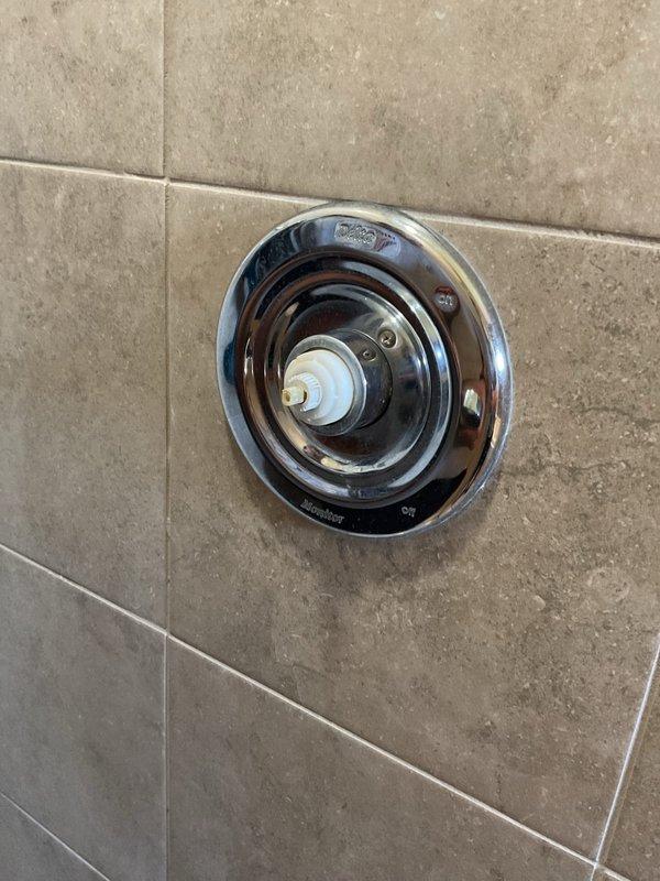 Repaired dripping single-handle Delta shower valve by replacing worn internal cartridge and seals. Tested operation to confirm proper function and verified no leaks present upon completion.
