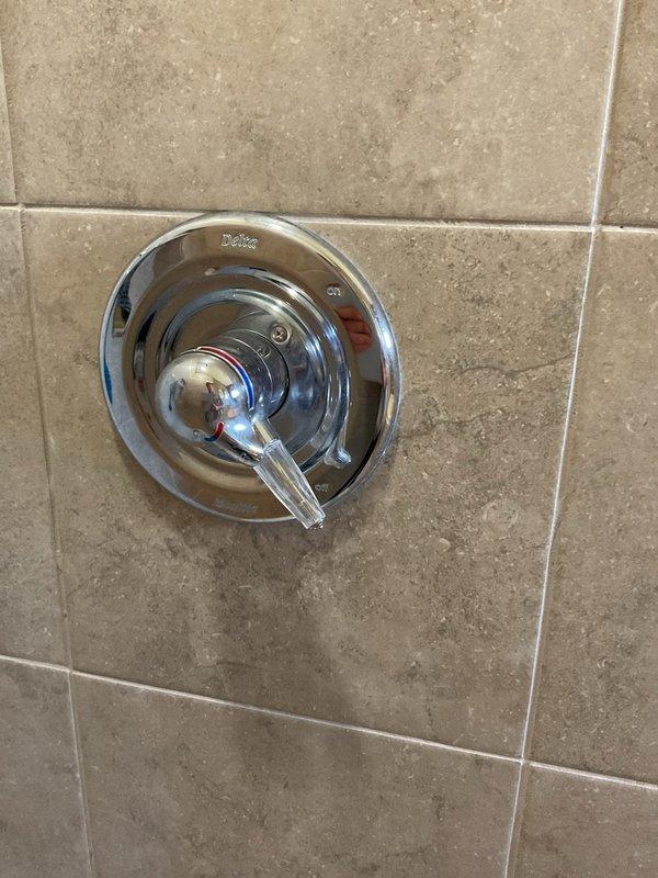 Repaired dripping single-handle Delta shower valve by replacing worn internal cartridge and seals. Tested operation to confirm proper function and verified no leaks present upon completion.