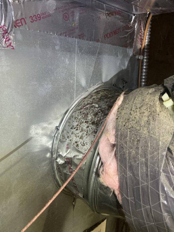 Responded to odor complaint regarding potential mold smell in residential HVAC system. Performed thorough inspection of 8-year-old air conditioning unit and accessible ductwork in attic space. Examined supply ductwork wrapped in reflective foil insulation and identified areas of concern around air handler components. Documented condition of fiberglass insulation surrounding ductwork, noting discoloration and disturbance patterns near access points that could indicate moisture intrusion or biological growth. Inspected interior cavities of air handling system through existing openings to assess for visible mold, debris accumulation, or water damage. Photographed ductwork assembly, insulation conditions, and component access areas for record documentation. Provided assessment findings to client and prepared estimate for complete system replacement as requested for future consideration.