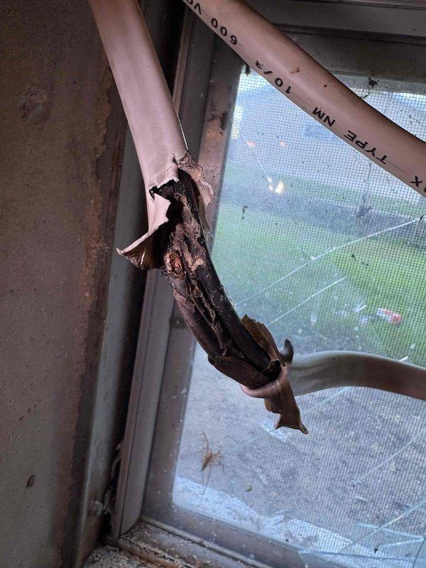 Responded to no cooling call where refrigerant line was accidentally cut near outdoor unit. Upon arrival, found severely damaged copper refrigerant line with evidence of electrical arcing and burn damage at the cut point. The copper tubing exhibited charred, melted, and corroded metal with jagged edges where the line had been severed, indicating contact with electrical wiring during the cutting incident. Documented extensive damage to refrigerant lines with photos showing the compromised copper piping and electrical burn patterns. System is inoperable due to refrigerant loss and requires complete line set replacement and electrical inspection before repairs can proceed.