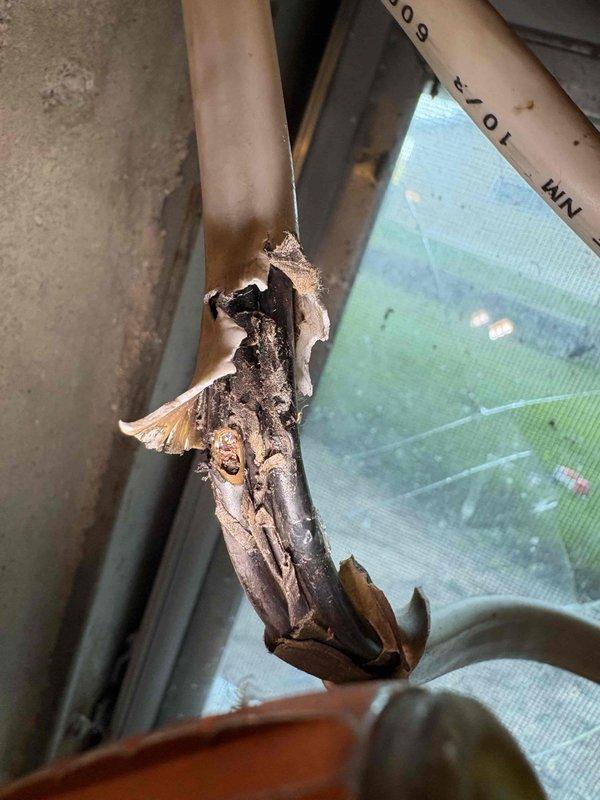 Responded to no cooling call where refrigerant line was accidentally cut near outdoor unit. Upon arrival, found severely damaged copper refrigerant line with evidence of electrical arcing and burn damage at the cut point. The copper tubing exhibited charred, melted, and corroded metal with jagged edges where the line had been severed, indicating contact with electrical wiring during the cutting incident. Documented extensive damage to refrigerant lines with photos showing the compromised copper piping and electrical burn patterns. System is inoperable due to refrigerant loss and requires complete line set replacement and electrical inspection before repairs can proceed.