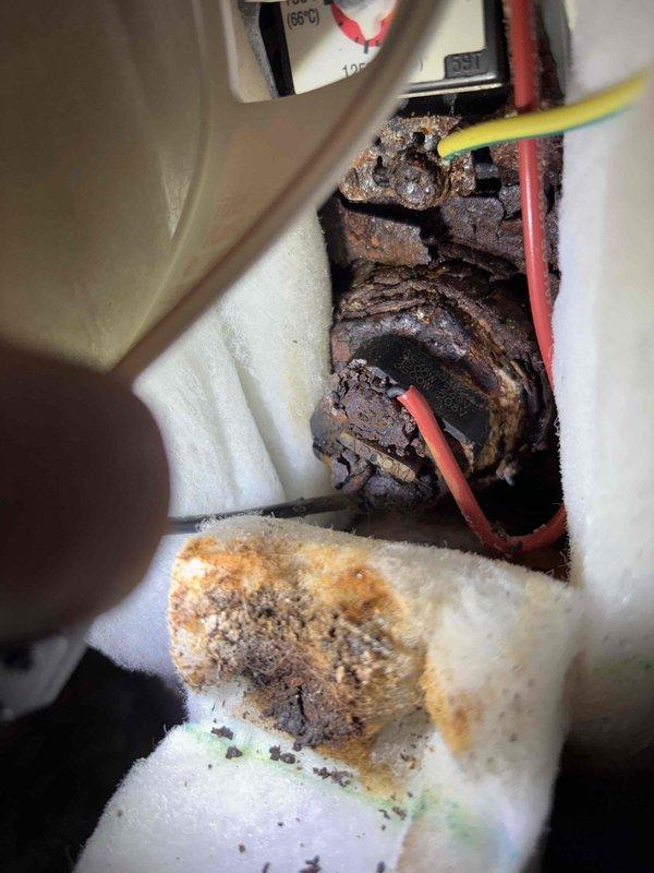 Responded to service call for AO Smith electric water heater not producing hot water. Upon inspection, discovered severe corrosion and rust damage to electrical connections at the upper terminal block. The deterioration was extensive, with heavy oxidation compromising wire connections and creating potential safety hazards. Documented conditions with photographs showing corroded terminals, rust staining, and moisture damage to electrical components. Advised customer of findings and recommended water heater replacement due to the severity of electrical system failure and associated safety concerns.