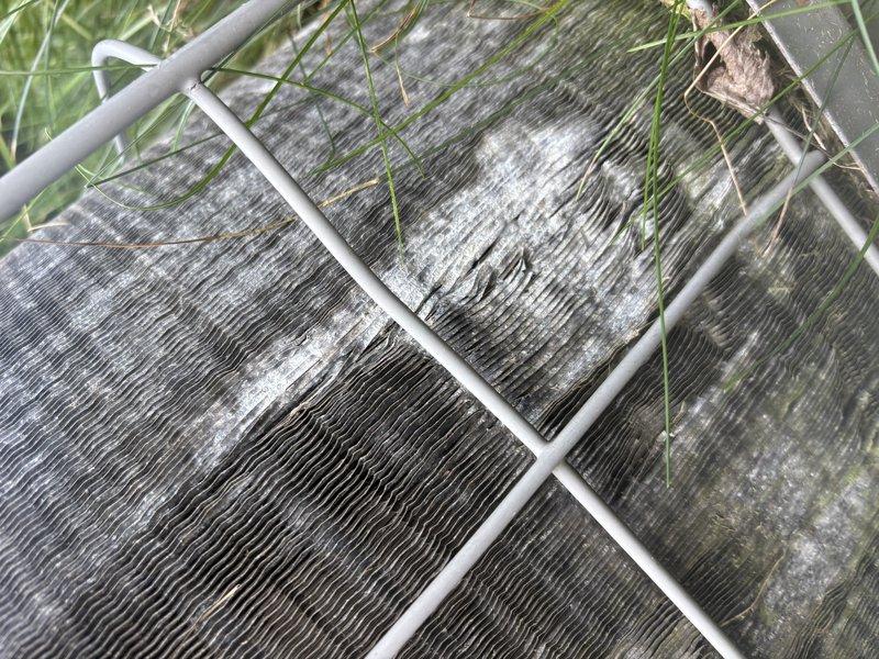 Completed annual cooling maintenance on 22-year-old ICP system. Inspected outdoor condenser unit, noting significant debris accumulation and mineral deposits on coil fins with vegetation growth around unit perimeter. Documented equipment condition with photos showing weathered coil surfaces and environmental buildup consistent with age of system.