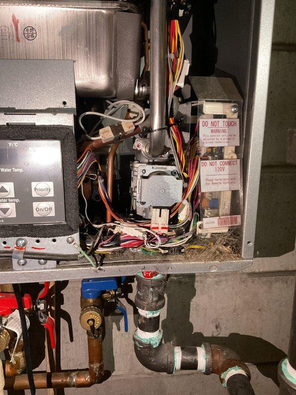 Completed routine maintenance on a Rinnai tankless water heater with no reported issues. Performed comprehensive inspection of all internal components including heat exchanger, gas valve assembly, ignition system, and venting connections. Verified proper operation of control board, temperature settings, and priority button functionality. Inspected all copper supply and return piping, isolation valves with blue handles, and brass fittings for leaks or corrosion. Checked electrical connections, wire harnesses, and grounding throughout the unit. Cleaned burner assembly and verified proper flame characteristics. Flushed heat exchanger to remove mineral buildup and scale deposits. Tested all safety devices including overheat protection and pressure relief systems. Confirmed proper gas pressure and combustion air supply. Verified temperature differential between inlet and outlet water temperatures. Inspected condensate drain system and connections. Unit operating within manufacturer specific