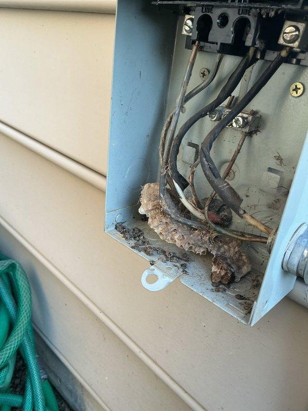 Completed annual cooling maintenance on 15-year-old Carrier AC system. Performed standard tune-up procedures including system inspection, refrigerant level check, and electrical connection evaluation. Discovered and documented significant debris accumulation and possible insect nest material in exterior electrical junction box at disconnect. Noted weathering, oxidation, and corrosion present on junction box enclosure and terminal connections due to environmental exposure. Cleaned accessible debris from electrical enclosure and verified secure wire connections at terminal block. System operational upon completion of maintenance visit.