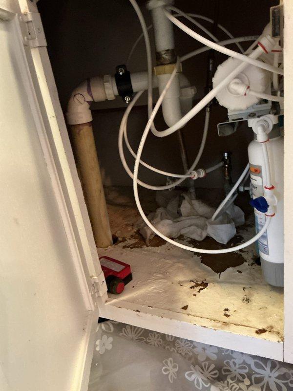 Completed installation of reverse osmosis water filtration system under kitchen sink. System includes multiple-stage filtration with vertical filter cartridges, pressure tank, feed water connections, and drain line with all necessary valves and fittings properly installed and secured using flexible tubing connections. All components tested and operational upon completion.