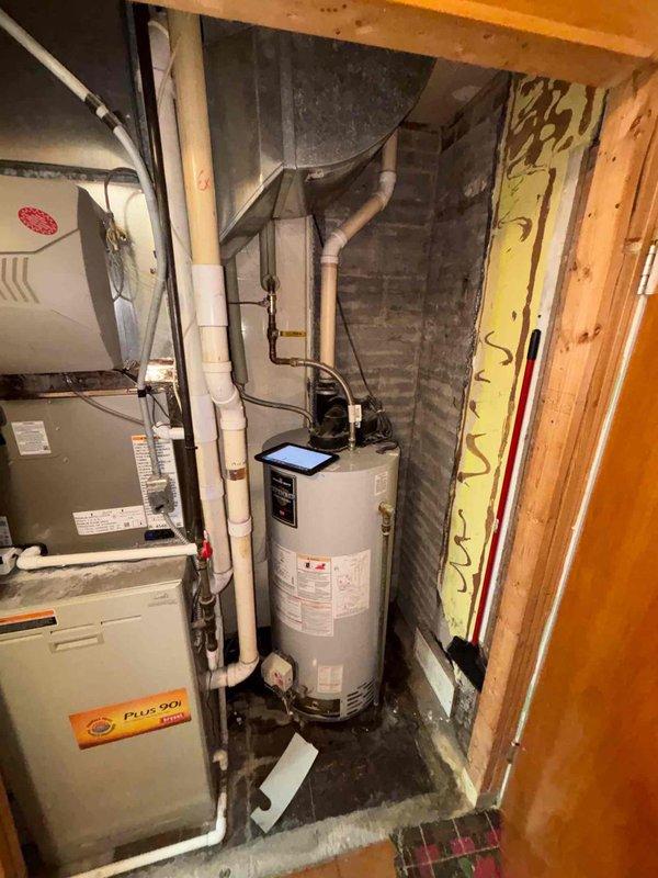 Provided estimate for water heater replacement in basement utility area. Existing unit is a standard residential white cylindrical water heater located adjacent to HVAC furnace system with standard plumbing connections and venting. Customer requesting expedited installation scheduling upon approval.