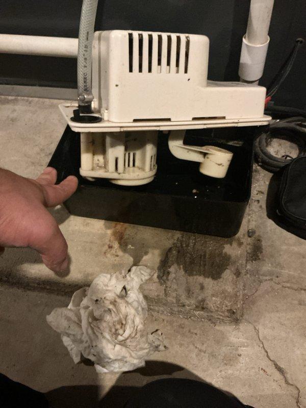 Completed annual heating and cooling maintenance on 10-year-old EnergiAir AC unit and 15-year-old furnace system. Discovered heavily clogged condensate pump with significant accumulation of white fibrous debris and lint causing drainage restriction. Removed and cleaned condensate pump assembly, extracting large amount of compacted material from pump housing and drain lines. Reinstalled pump on drip pan and verified proper operation and drainage flow. Confirmed best contact number in system. All equipment operating within normal parameters upon completion.