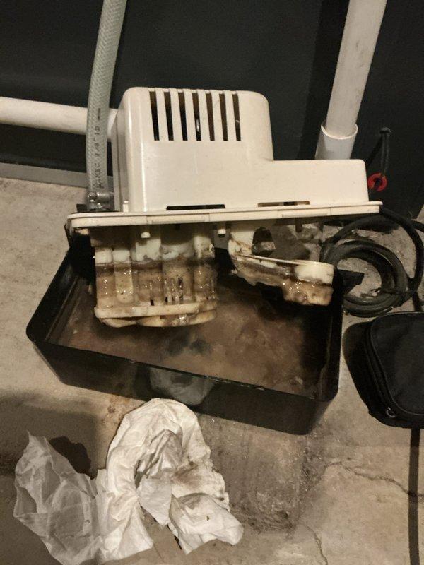 Completed annual heating and cooling maintenance on 10-year-old EnergiAir AC unit and 15-year-old furnace system. Discovered heavily clogged condensate pump with significant accumulation of white fibrous debris and lint causing drainage restriction. Removed and cleaned condensate pump assembly, extracting large amount of compacted material from pump housing and drain lines. Reinstalled pump on drip pan and verified proper operation and drainage flow. Confirmed best contact number in system. All equipment operating within normal parameters upon completion.
