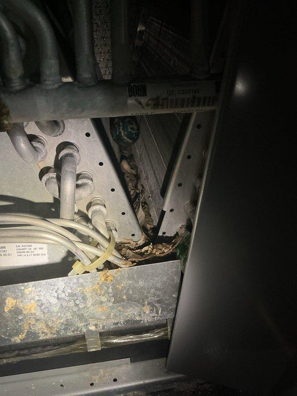 Completed annual cooling maintenance on 10-year-old American Standard system. Upon inspection, discovered significant debris accumulation in the evaporator coil housing and drain pan area, including dirt, organic matter, and deteriorated material that could restrict airflow and drainage. Thoroughly cleaned affected components, removed all debris from interior housing and drain pan, and verified proper system operation following maintenance procedures.