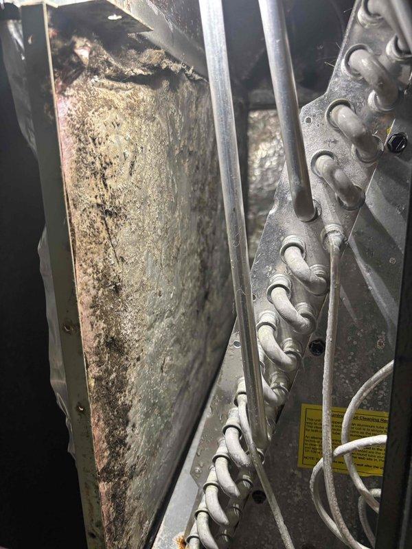 Responded to complaint of musty odor emanating from air conditioning system in 7-year-old Amana unit. Upon inspection, discovered significant dust and debris accumulation on internal components and evaporator coil assembly. Heavy particulate buildup on metal panels and framework indicated lack of regular maintenance, which was contributing to the musty smell being distributed through the ductwork. Documented conditions with photographs showing contaminated interior surfaces and compromised air quality within the system.