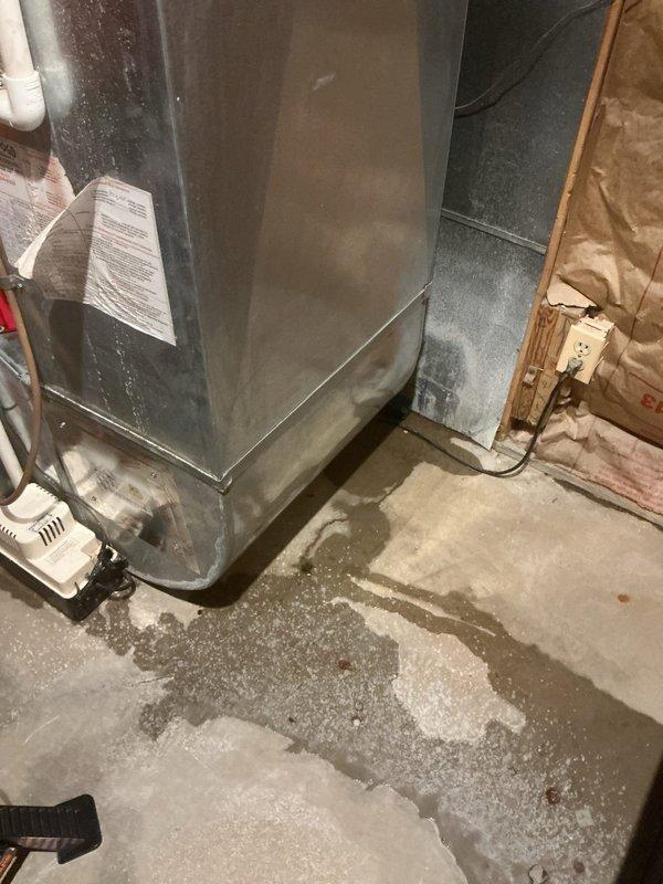 Responded to water leak service call in basement utility area. Upon arrival, found significant water accumulation on concrete floor adjacent to 21-year-old Carrier furnace and water heater. Inspected HVAC system and identified source of leak as failed condensate drainage system. Condensate pump appeared non-functional, causing water to overflow onto floor rather than properly draining. Documented conditions with photos showing extent of water damage and equipment involved. Recommended repair or replacement of condensate pump and proper drainage system restoration to prevent future water accumulation and potential damage to furnace and surrounding area.