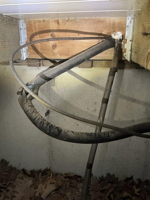 Responded to no-start air conditioning complaint where outdoor condenser unit was buzzing but compressor not running. Upon inspection, identified 20+ year old system with failed compressor and associated electrical components. Documented existing basement HVAC installation including furnace, ductwork, and mechanical room configuration, as well as outdoor condenser unit location and condition. Provided estimate for compressor replacement or full system replacement options given age of equipment.