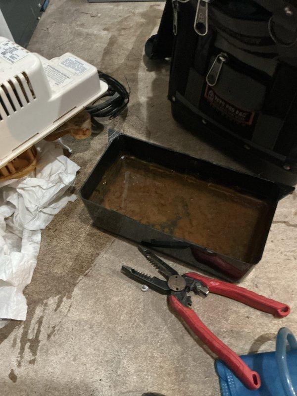 Completed annual heating maintenance on 8-year-old Goodman furnace system without humidifier. Performed comprehensive tune-up including inspection of all components, cleaned condensate pump and drain pan which showed rust staining and water accumulation, verified proper drainage function, and documented equipment condition with photos. System operational upon completion.