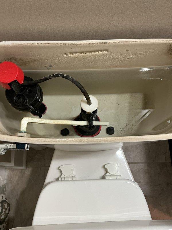 Performed on-site inspection and diagnostic assessment of two toilets requiring replacement. Primary issue identified: one toilet experiencing continuous running condition due to failed internal tank components. Documented existing conditions through photographic evidence showing deteriorated fill valve assembly, compromised flush valve mechanism with worn rubber seals, and significant mineral buildup throughout tank interiors. Observed excessive water staining, sediment accumulation, and aging components indicating end of service life for both fixtures. Provided comprehensive estimate for complete toilet replacement to resolve operational issues and restore proper water efficiency.