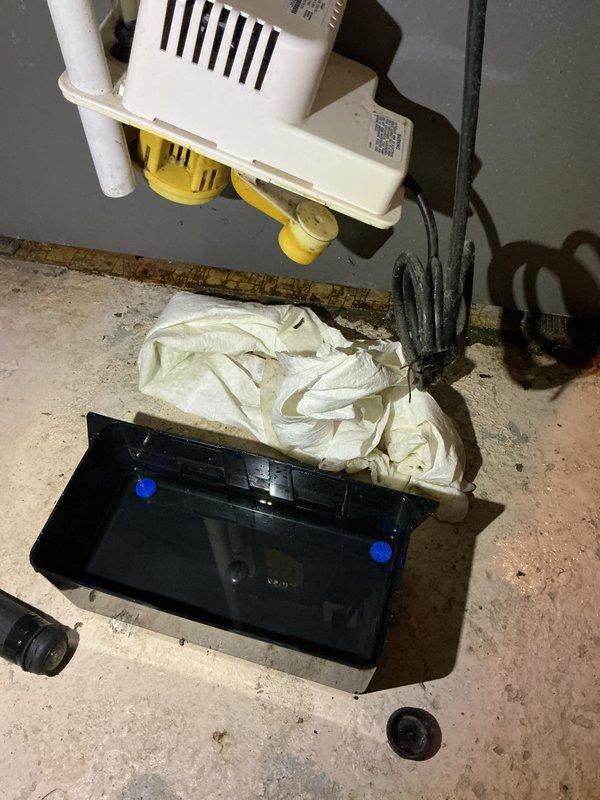 Completed annual cooling maintenance on 9-year-old Lennox system. Inspected blower wheel assembly showing normal dust accumulation on fins and housing, verified proper operation of condensate drainage system with pump and collection pan in place. All components operating within normal parameters for unit age.