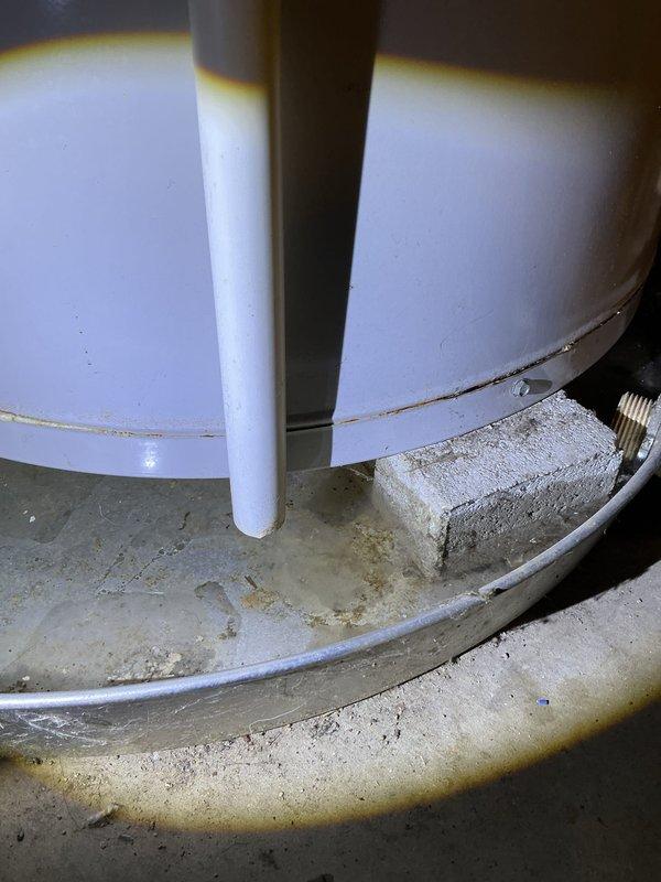 Completed annual heating system tune-up including furnace and humidifier inspection and maintenance. During inspection, documented significant rust staining on water heater top and evidence of moisture accumulation around tank base, indicating potential leak concerns that may require future attention. All heating equipment operational at time of service completion.