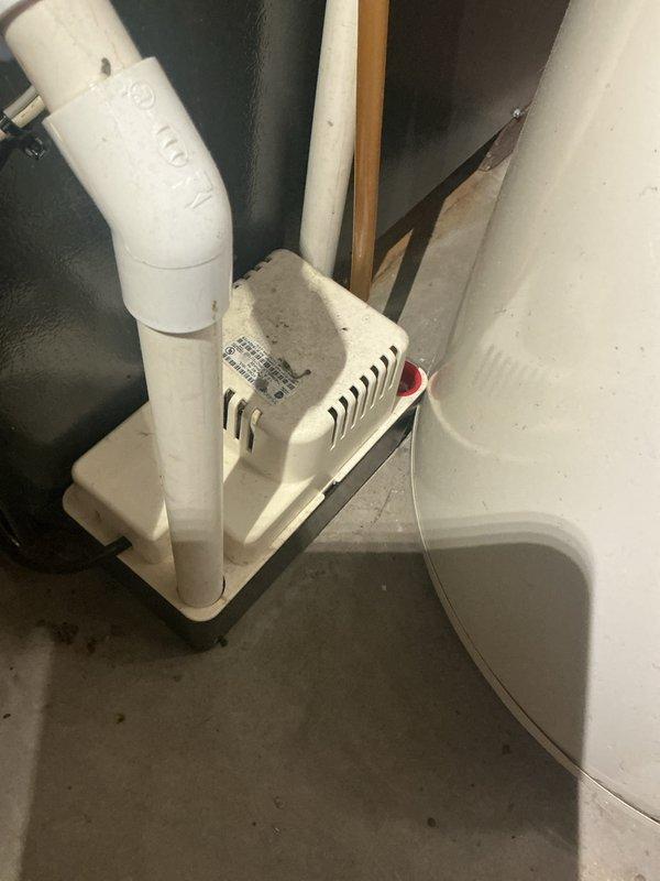 Completed annual cooling maintenance on 12-year-old Goodman system. Performed system diagnostics using digital manifold gauges at outdoor condensing unit, checked refrigerant pressures and operating temperatures, inspected service valves and refrigerant line connections. Noted significant algae growth and debris accumulation around outdoor unit requiring attention for proper airflow. Verified operation of indoor condensate pump system with proper drainage through PVC discharge line.