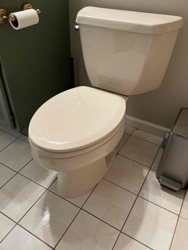 Conducted plumbing project estimate for basement toilet replacement. Assessed existing standard two-piece white ceramic toilet installation, documented current fixture condition including tank, bowl, and surrounding bathroom infrastructure. Evaluated tile flooring, wall conditions, and spatial configuration to determine replacement requirements and provide accurate project pricing for new toilet installation.